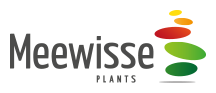 meewisse logo